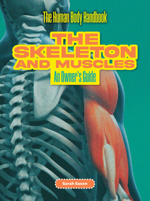 cover image of The Skeleton and Muscles